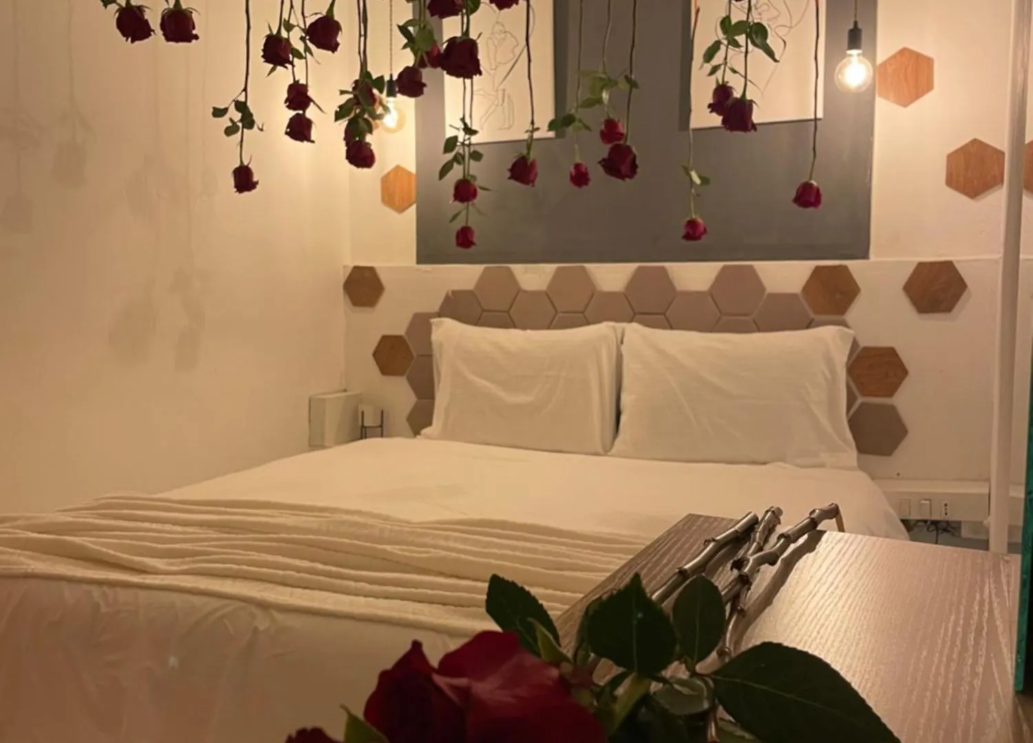 Romeo Apt With Private Garden Korce Affittacamere