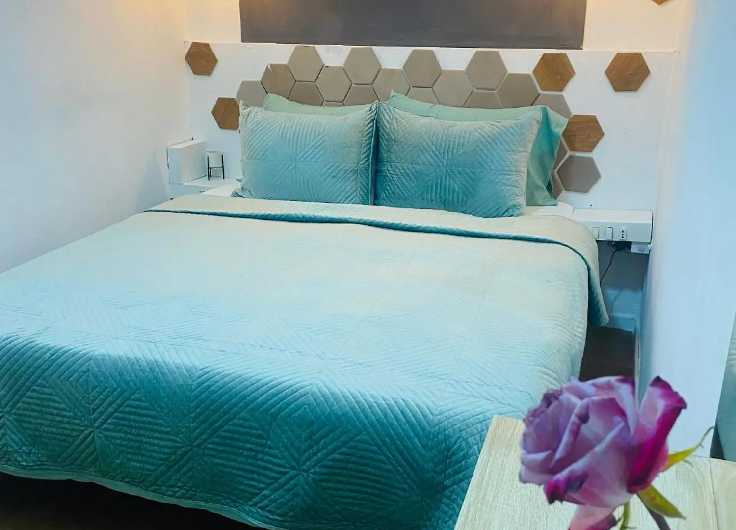Affittacamere Romeo Apt With Private Garden Korce