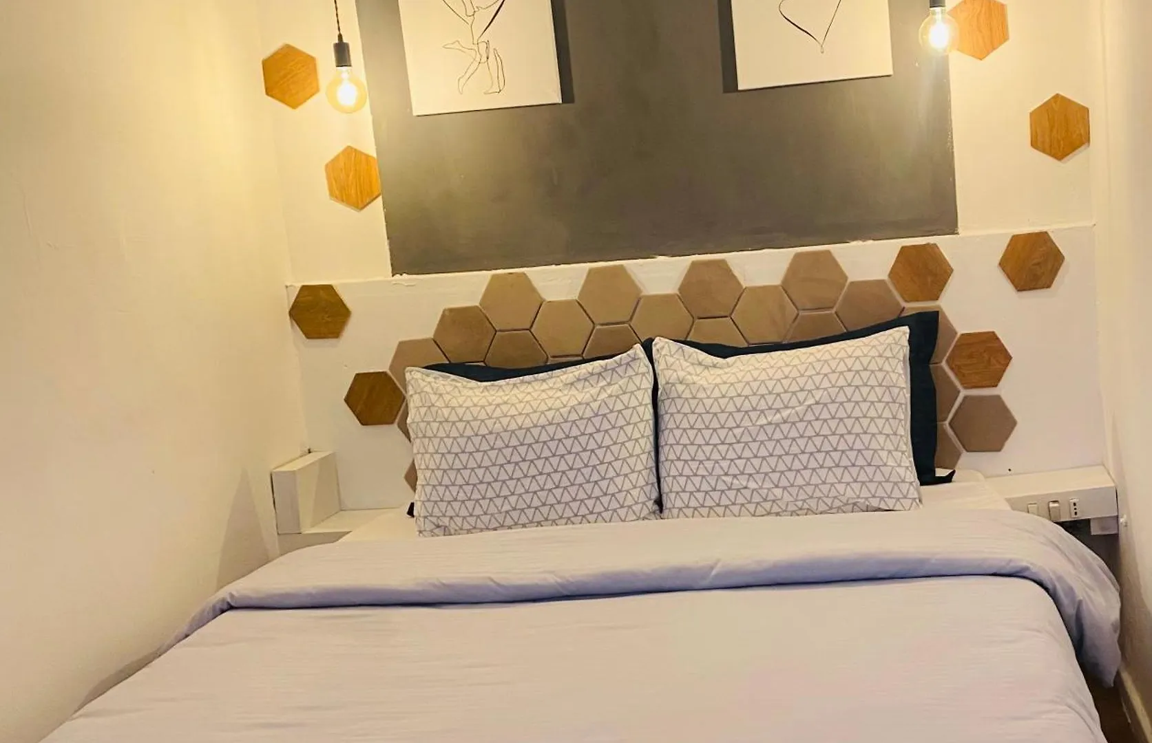Romeo Apt With Private Garden Korce